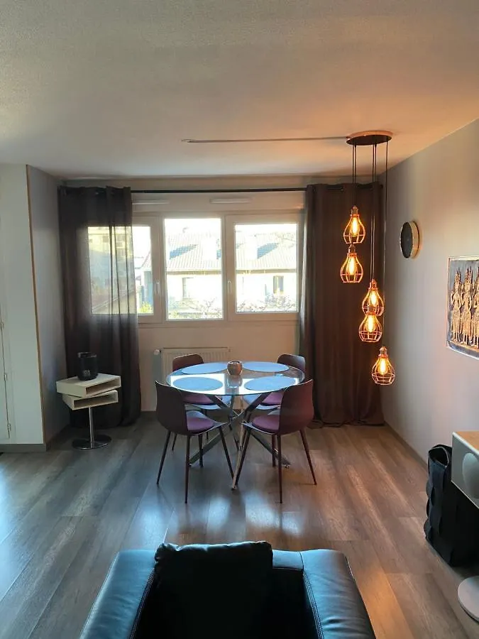 Tichnich Appartement - 2 Bedrooms - 1 Min Away From Train Station Annemasse Apartment
