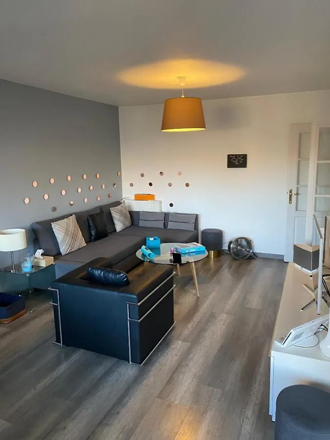 Tichnich Appartement - 2 Bedrooms - 1 Min Away From Train Station Annemasse Apartment